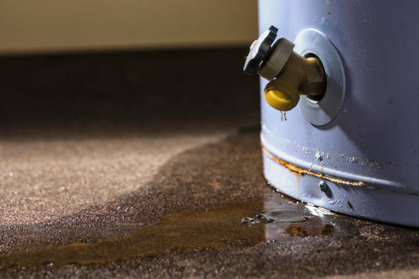 Best Water damage cleanup near me  in Mount Pleasant, IA