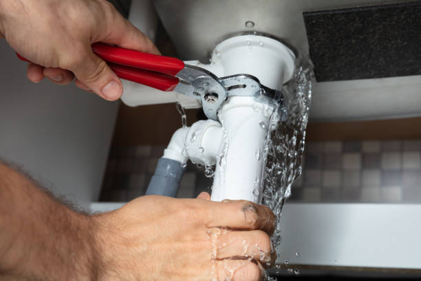 Best Flooded house restoration  in Mount Pleasant, IA
