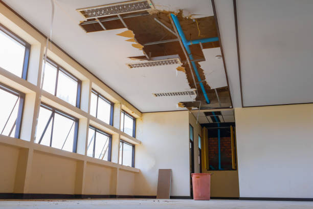 Best Professional water damage repair  in Mount Pleasant, IA