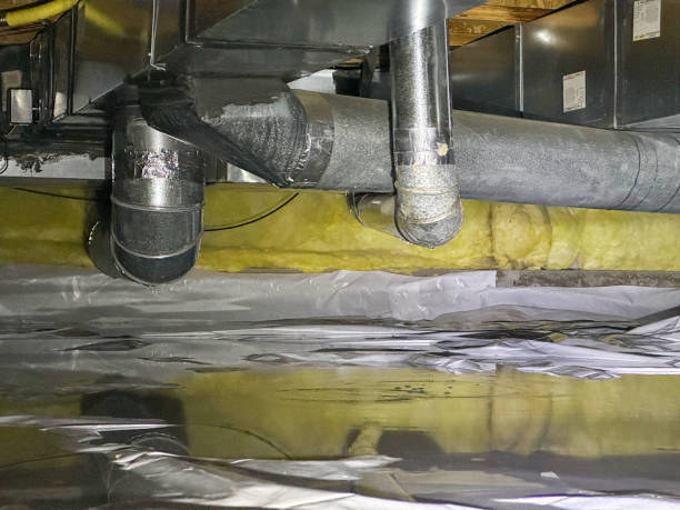 Best Professional water damage repair  in Mount Pleasant, IA