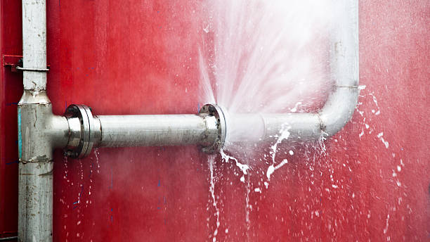 Best Flood restoration services  in Mount Pleasant, IA